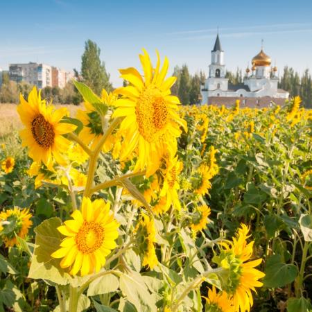 Посмотреть крупнее