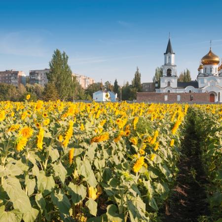 Посмотреть крупнее