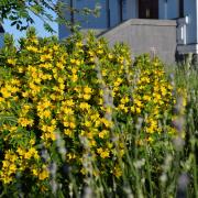 храм святой Марии Магдалины, Троица